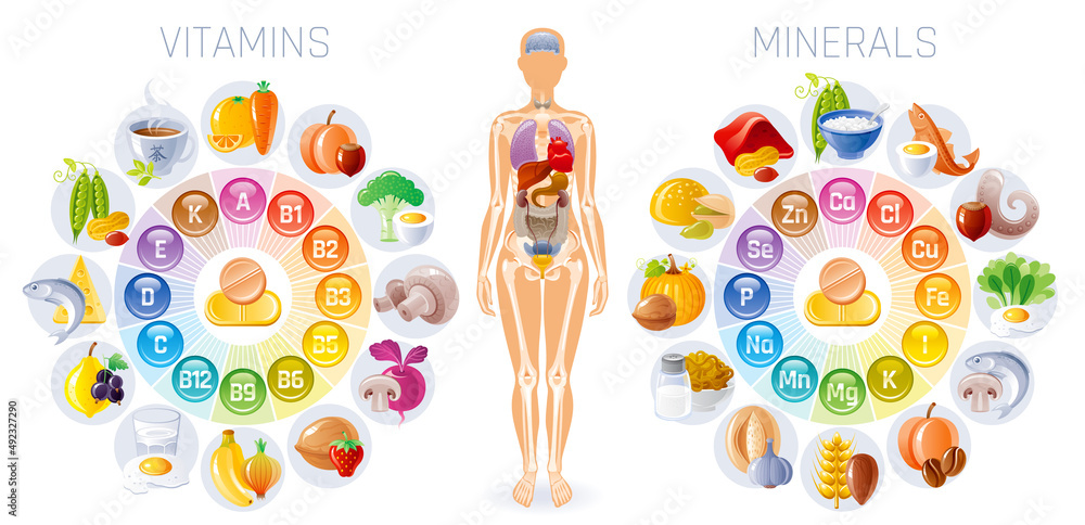 Body Minerals and Nutrients